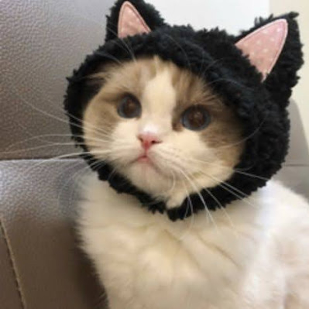 Meet your Posher, Keila